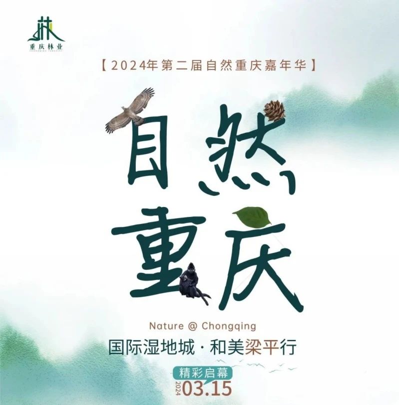 微信图片_20240313170536.jpg
