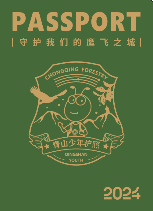 图片13.png