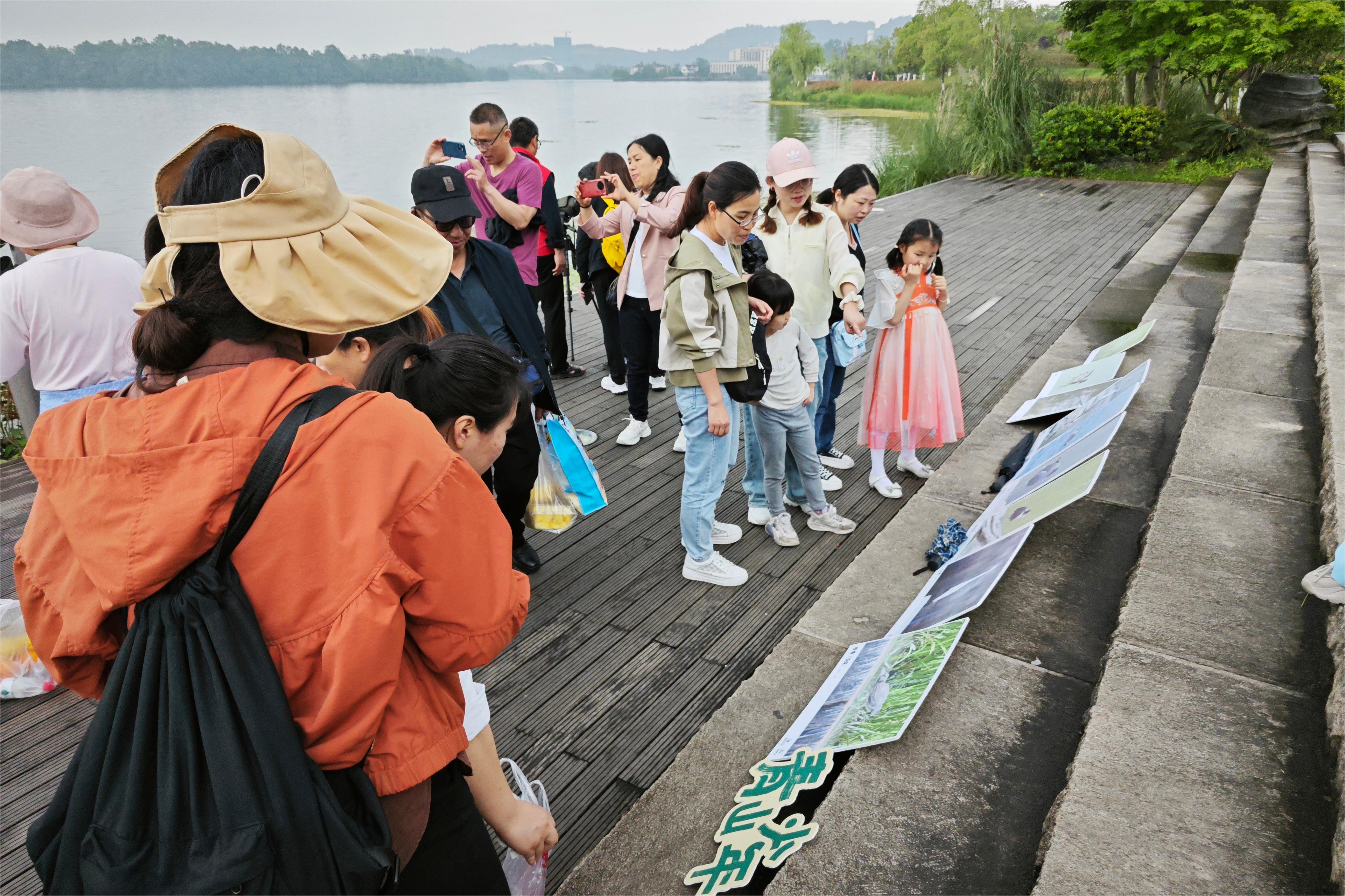 青山少年·梁平双桂湖 (4).jpeg