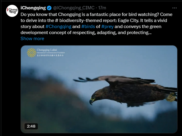 微信图片_20241209104541.png