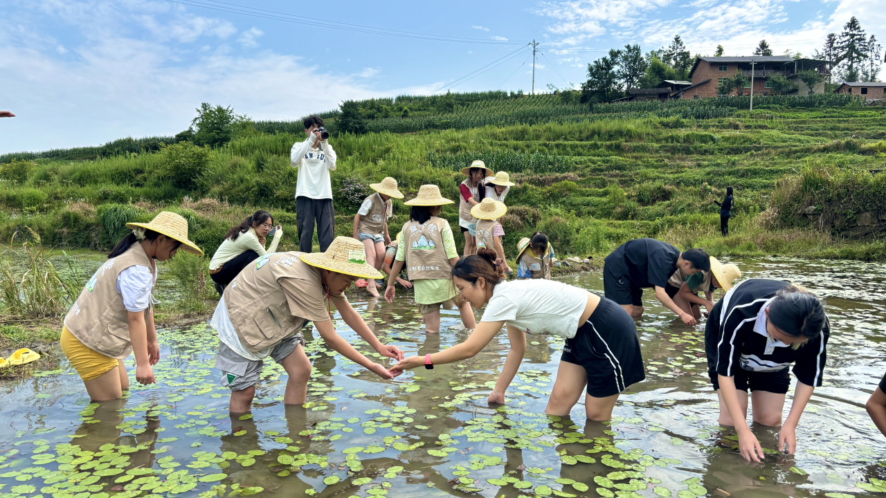 微信图片_20240808095312.png